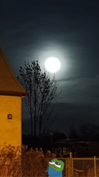 938d9150-9fa3-4d07-99d5-b6b6ea83dfda