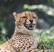 991f70d1-5ec9-47ac-926f-caf15eed19cf