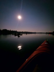 4b45d187-65d6-4123-a819-272e84cd8ec8