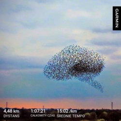 5ad5e022-80c5-4b1b-9d26-3d4597dd0ed5