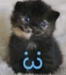 9e97bd21-626e-4ea5-9119-fb9ad7570646