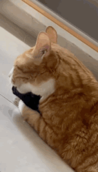 e493f3d0-5f9c-4a96-a997-97965f1793cb