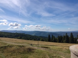 d675e8ad-0f85-4765-acbd-c28fe7683f72