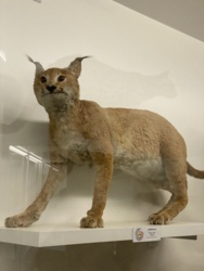 87b54443-8361-4a35-8841-2d5bb5df6a53