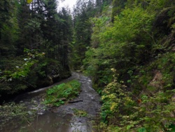 1657cff2-1e27-4fc5-a7e4-0c54e3c593fd