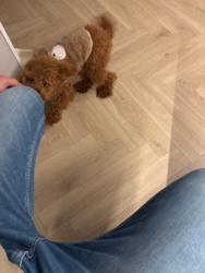 1278415e-c33f-416a-8c6b-deeebf61257a