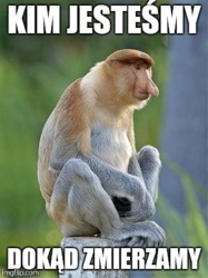 c1adee53-e6e8-4c28-8950-de00acd3913b