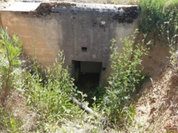 b02e3492-f324-4791-9cde-cd99e5bdfac5