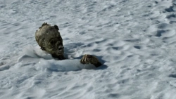 dda6eb0e-c812-4200-a174-e7f25ead4640