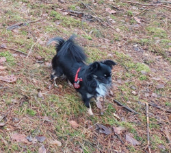 2ac96467-450b-4be6-99b2-51e7db6071a5