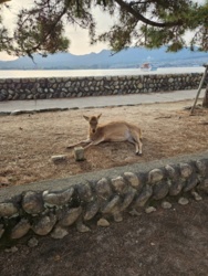 5ebe22c3-4b6c-4f9f-a81b-7b71e9cacd5e