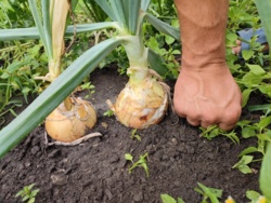 14f10f2a-d14d-4a4e-83ae-8fdee1c8031d