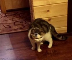 a3621bd5-c18c-4435-b80c-4f75ce9dedb7