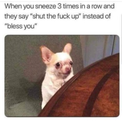 67aa7aef-6222-4f91-8766-1750e81b0d71