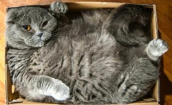 95b1b333-29b4-47e9-890e-8a9480bfeaf4