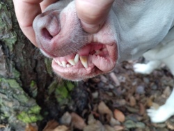 2b79b150-c558-4efb-840c-86cdc3a157b6