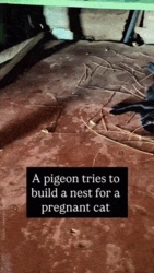 befac800-1797-4c35-bd45-657691d0e192