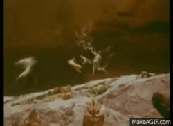 ed0f87a5-f617-444f-9773-ab70b658a8da