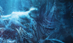 c6cf90ae-872a-4e67-b2d9-562e9e6e044b