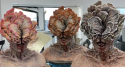 f5b91e18-ff9b-4db8-b2c4-2ff380abb698