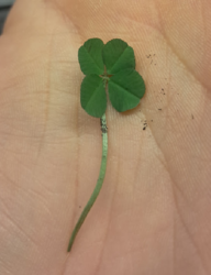 d61046c0-e74d-4d8d-abdb-96a12356c72d