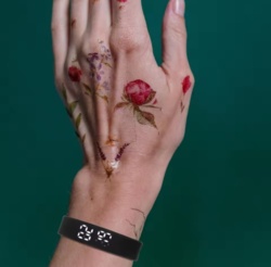 d9fa8dee-efba-4c0d-bde1-676e01292abb