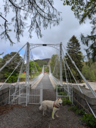 056076f3-e3f6-4cfd-b159-5d5f3e08029a