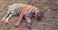 e194073a-028a-461f-bdef-3ab7df2a2e62