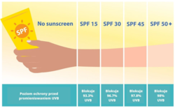 ea035b55-6734-4405-a749-a4df87735b69