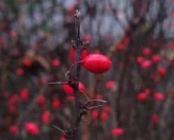 1076a668-805c-40b4-a309-52bae965a272