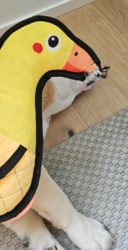 78c73afb-6ea6-43fb-b10f-9efd211bd5f9