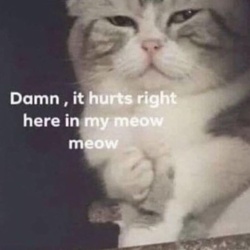 d3641650-4763-45c2-8046-8204fb093fed