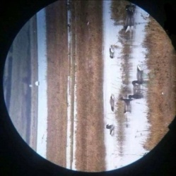 80cda226-1027-4138-940b-3953147e3614