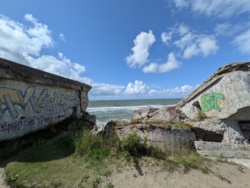 5e7d98dc-59cf-46ca-a296-b0436cb8e777