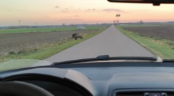 15447884-27db-4938-8cc8-91a2623b589b