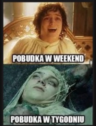 984e8826-b34e-4af4-a11a-0ca5b365700c