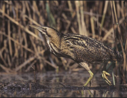 bfb9e4ab-fb1d-4ea0-a50f-8e2e324340df