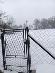 c52069c7-9f3e-4d33-9adf-30d3d04657f5