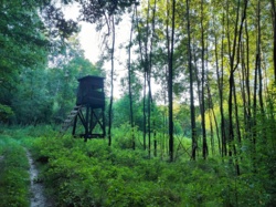 12062b99-9526-450c-89da-4ed88f8a3e5b