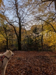 78a44f8d-49be-4cb1-91dc-3646194eaf0f