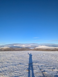 831429a9-2f74-4118-ab8e-17e3dc50b5ff