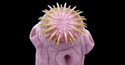 7f065bda-ab41-456e-9d28-6a45e1555bae