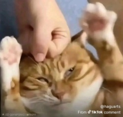 7c3baacd-6953-4006-ac09-a546005a72d2