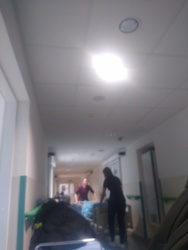 c6fd20f9-e067-403a-8063-fd110a9b92c7