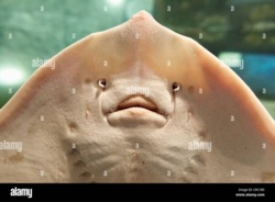 4c4c4847-8686-4d80-9663-6b8d1a661ffe