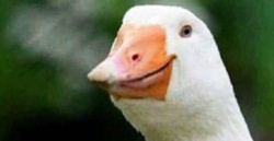 8206d3c0-854a-468d-bdb8-0207fa93c43c