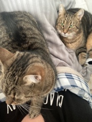 9658f9cd-f043-4fce-bc3c-8d0a240a43f7