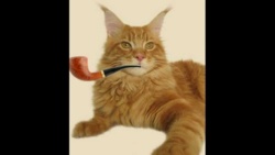 e5d4ab64-ecaa-4857-b807-379f1f2a8360