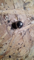 c2e0a8bf-ea6c-4cef-abf2-16d7453ef97d