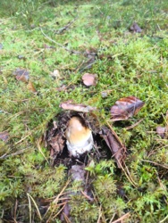 bf503b42-a44c-4052-b968-dd46be74a4c8